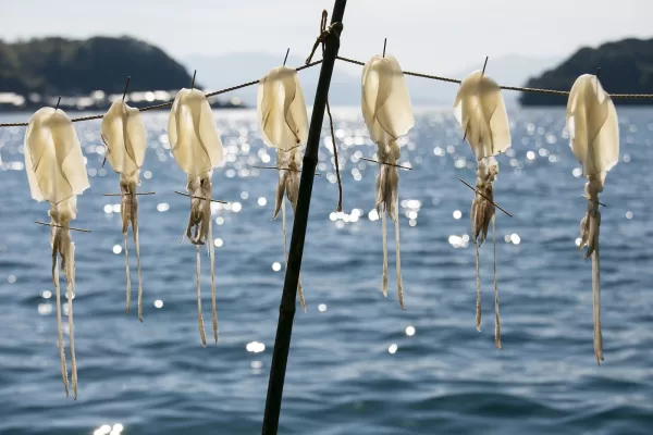Ine Fishing Village, Kyoto, Japan