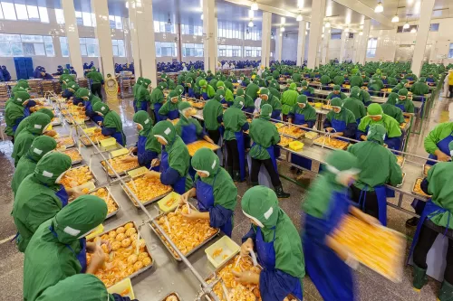Canning Department por Ji Shenpu, Philip Harben Award for Food in Action