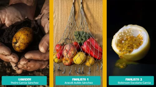 Ganadores Vegpic 2025