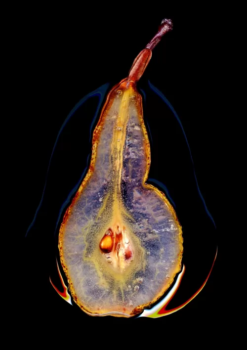 Anne Mason-Hoerter, ‘Candied Pear’, Gewinnerin, The Bimi® Prize, 2026