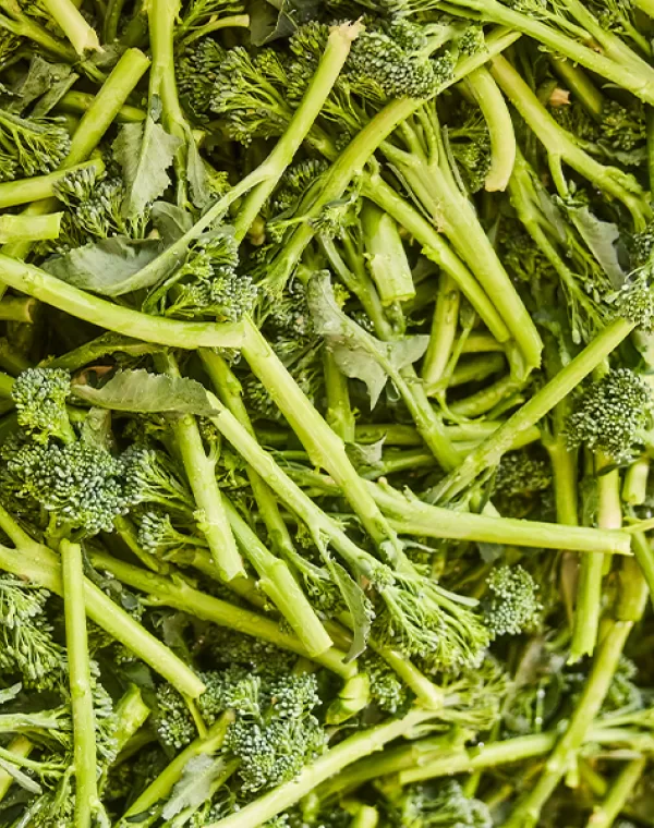 Broccoli
