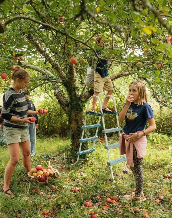 School Farm Orchard low