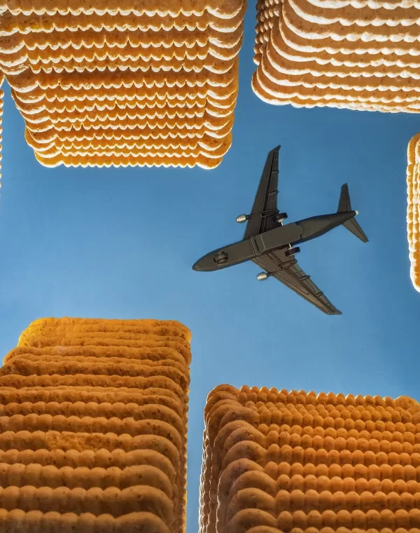 ¡Descubre las fotos finalistas de los WFPA!