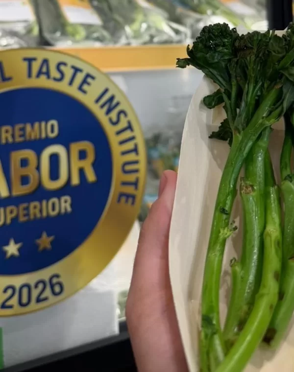 Whats App Image 2026 04 15 at 09 50 15